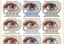 MuseColor半年抛·51出行黄金假期-彩色隐形眼镜彩瞳美瞳代理批发货源