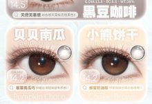 Curlypuppy半年抛 夏日派对-彩色隐形眼镜彩瞳美瞳代理批发货源