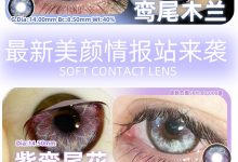 Healercon半年抛 12.12特惠专场-彩色隐形眼镜彩瞳美瞳代理批发货源