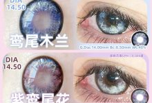 Healercon半年抛 圣诞奇迹探旅-彩色隐形眼镜彩瞳美瞳代理批发货源